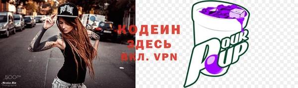 гашик Коряжма