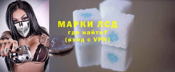 гашик Коряжма